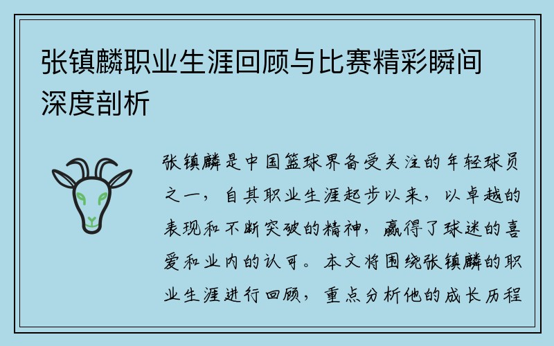 张镇麟职业生涯回顾与比赛精彩瞬间深度剖析