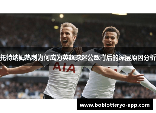 托特纳姆热刺为何成为英超球迷公敌背后的深层原因分析