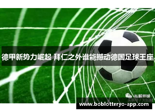 德甲新势力崛起 拜仁之外谁能撼动德国足球王座