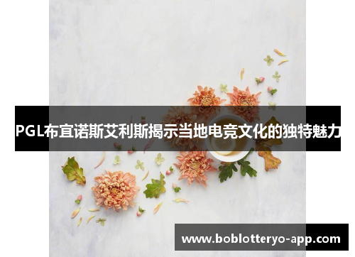 PGL布宜诺斯艾利斯揭示当地电竞文化的独特魅力