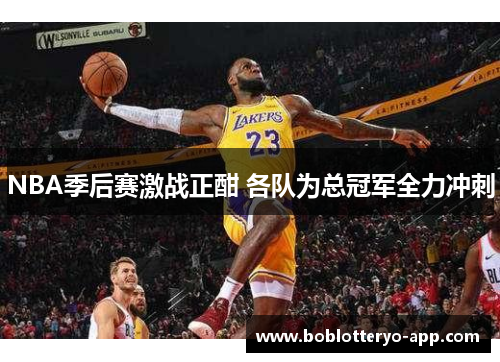 NBA季后赛激战正酣 各队为总冠军全力冲刺